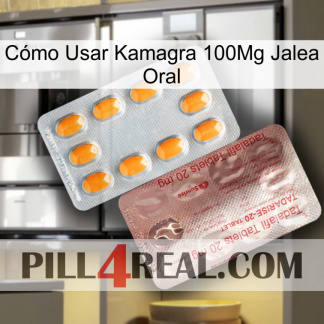 Cómo Usar Kamagra 100Mg Jalea Oral new13